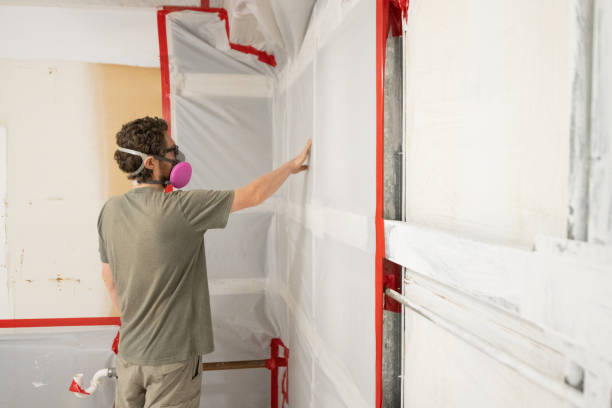Asbestos and Lead Testing During Mold Inspection in Folsom, CA