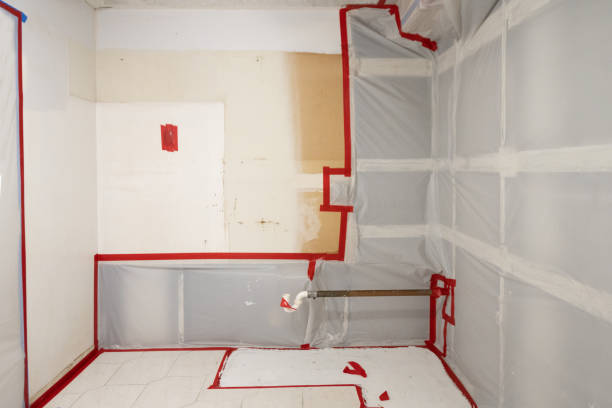 Biohazard Mold Removal in Folsom, CA