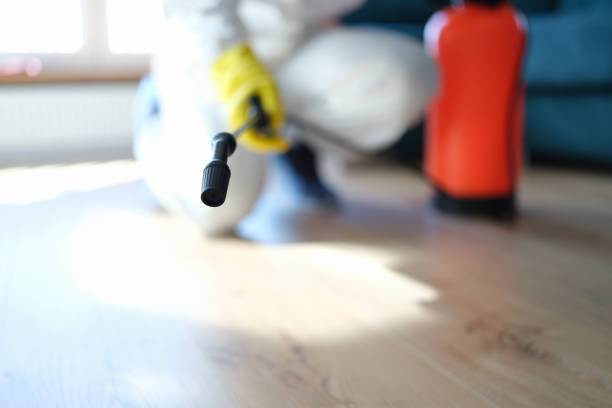 Best Airborne Mold Testing  in Folsom, CA