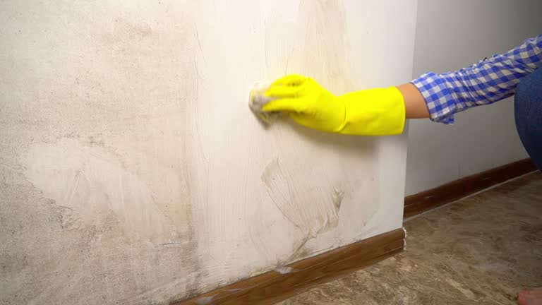 Best Emergency Mold Remediation  in Folsom, CA