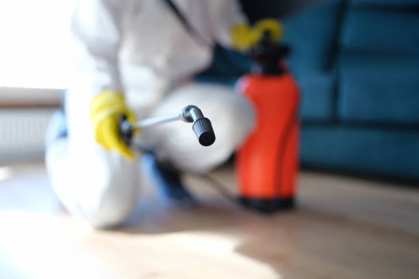 Forensic Mold Investigation in Folsom, CA