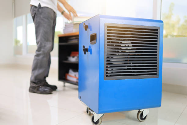 Best Basement Mold Removal  in Folsom, CA
