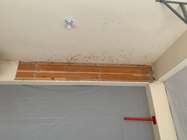Best Post-Remediation Verification Testing  in Folsom, CA