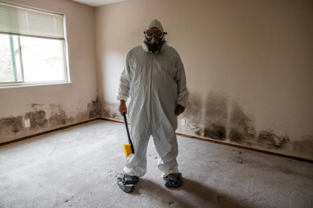 Reliable Folsom, CA Mold Removal Solutions