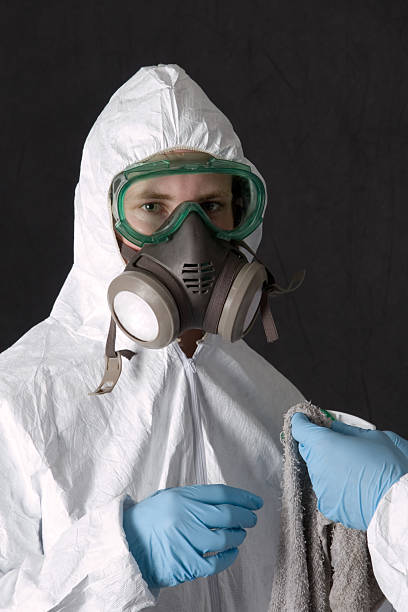 Best Mold Damage Restoration  in Folsom, CA
